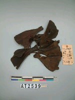 藏品(粟初收祭祭骨)的圖片